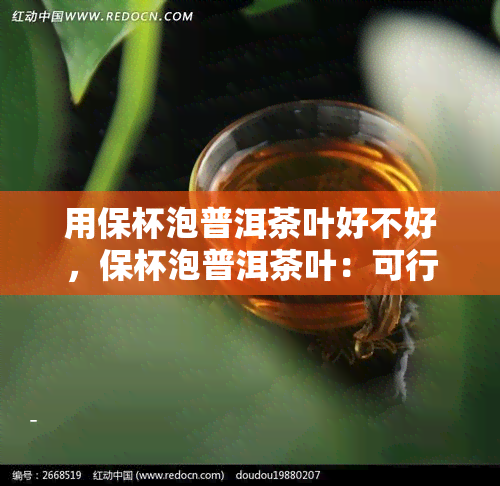 用保杯泡普洱茶叶好不好，保杯泡普洱茶叶：可行还是不可行？