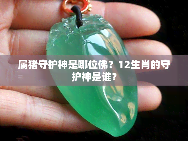 属猪守护神是哪位佛？12生肖的守护神是谁？