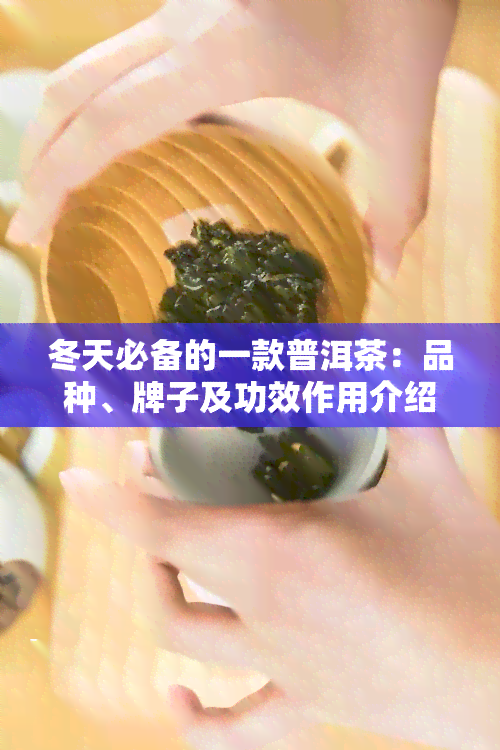 冬天必备的一款普洱茶：品种、牌子及功效作用介绍