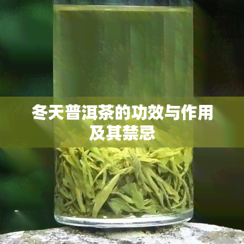 冬天普洱茶的功效与作用及其禁忌