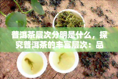 普洱茶层次分明是什么，探究普洱茶的丰富层次：品鉴其独特的口感与香气