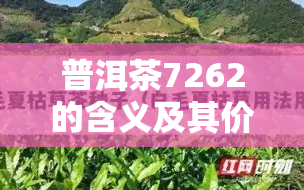 普洱茶7262的含义及其价格解析