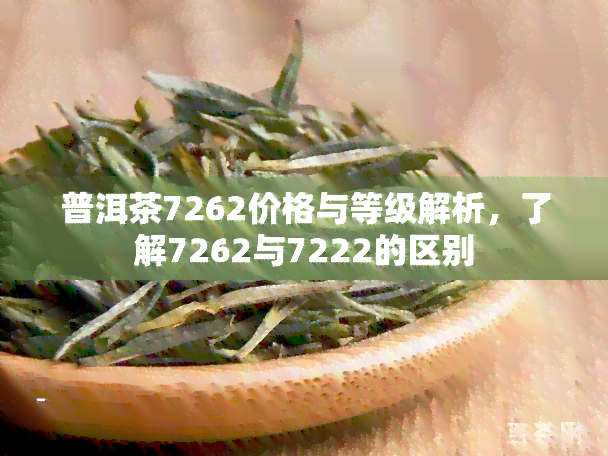 普洱茶7262价格与等级解析，了解7262与7222的区别