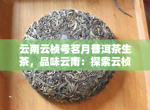 云南云桢号茗月普洱茶生茶，品味云南：探索云桢号茗月普洱茶生茶的独特魅力