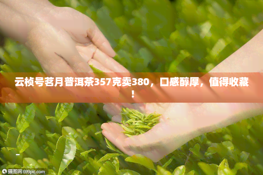 云桢号茗月普洱茶357克卖380，口感醇厚，值得收藏！