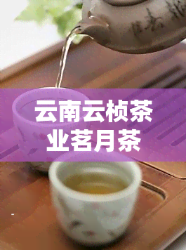 云南云桢茶业茗月茶价格及公司介绍