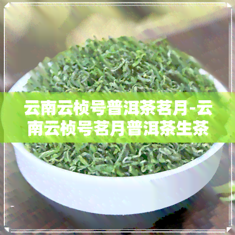 云南云桢号普洱茶茗月-云南云桢号茗月普洱茶生茶