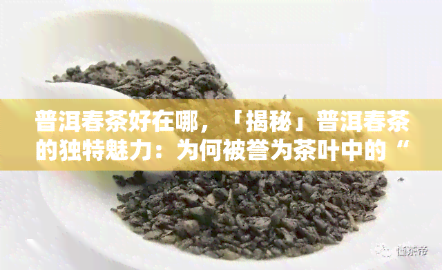 普洱春茶好在哪，「揭秘」普洱春茶的独特魅力：为何被誉为茶叶中的“皇后”？