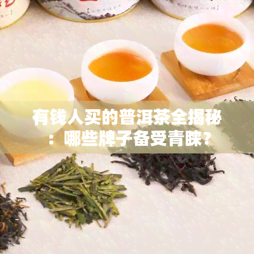 有钱人买的普洱茶全揭秘：哪些牌子备受青睐？