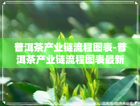 普洱茶产业链流程图表-普洱茶产业链流程图表最新