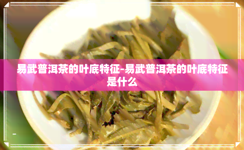 易武普洱茶的叶底特征-易武普洱茶的叶底特征是什么