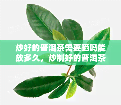 炒好的普洱茶需要晒吗能放多久，炒制好的普洱茶需不需要晒？保质期有多久？