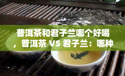 普洱茶和君子兰哪个好喝，普洱茶 VS 君子兰：哪种饮品更胜一筹？