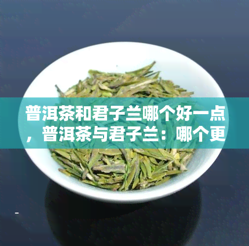 普洱茶和君子兰哪个好一点，普洱茶与君子兰：哪个更好？