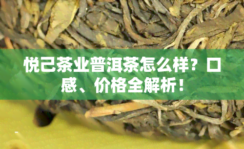 悦己茶业普洱茶怎么样？口感、价格全解析！