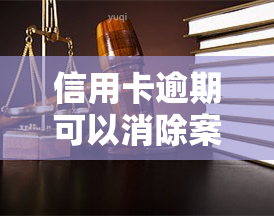 信用卡逾期可以消除案底吗？了解逾期记录的影响与后果