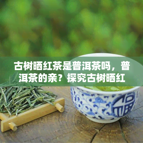 古树晒红茶是普洱茶吗，普洱茶的亲？探究古树晒红茶与普洱茶的关系