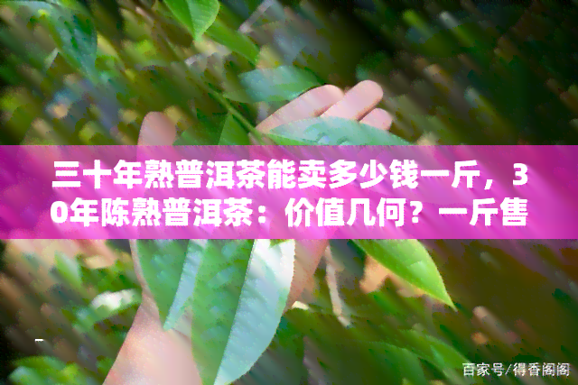 三十年熟普洱茶能卖多少钱一斤，30年陈熟普洱茶：价值几何？一斤售价多少？