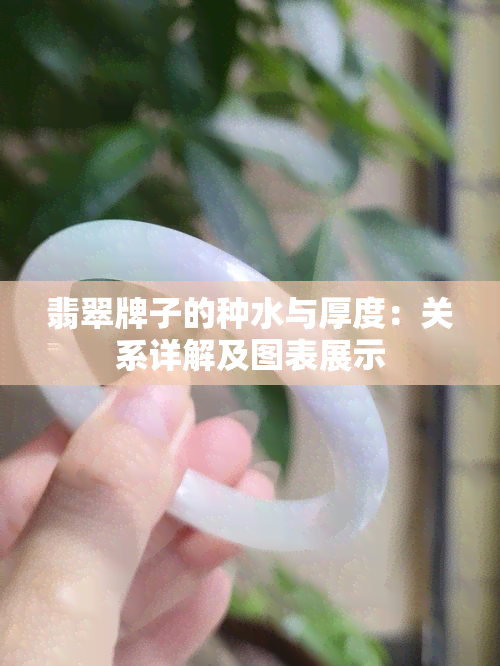 翡翠牌子的种水与厚度：关系详解及图表展示