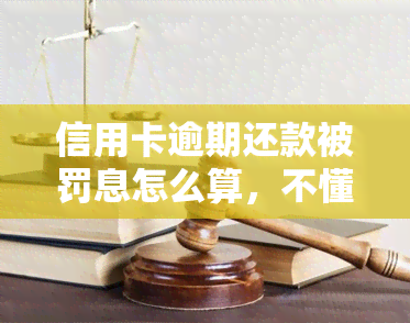 信用卡逾期还款被罚息怎么算，不懂信用卡逾期罚息怎么算？这份详细指南告诉你！