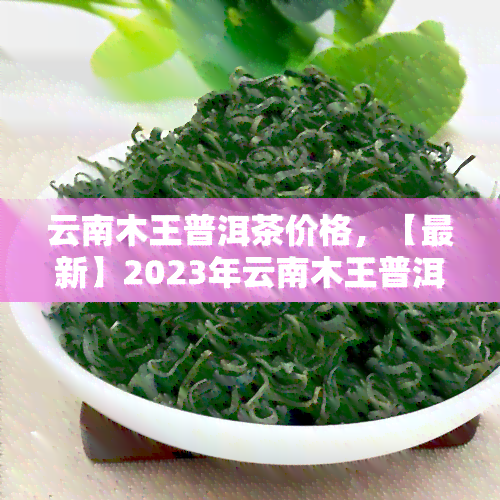 云南木王普洱茶价格，【最新】2023年云南木王普洱茶价格行情，你了解多少？