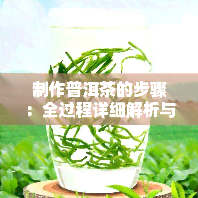 制作普洱茶的步骤：全过程详细解析与视频展示