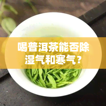 喝普洱茶能否除湿气和寒气？