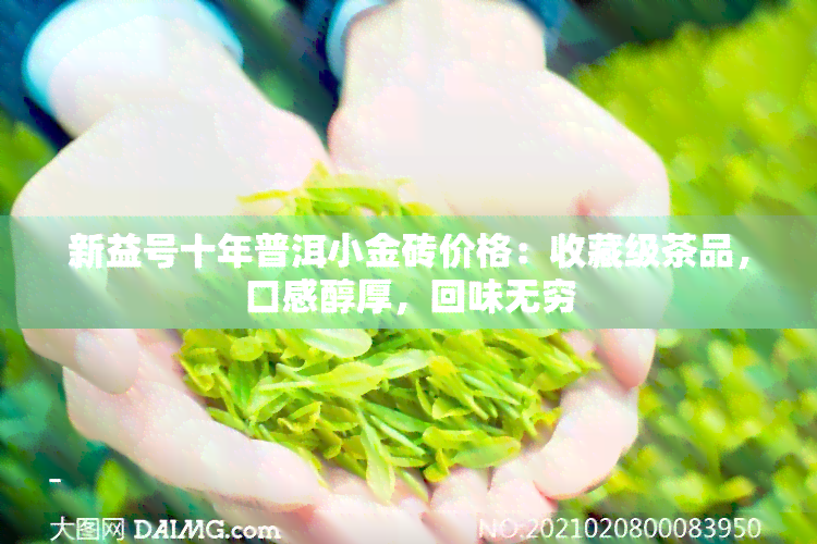 新益号十年普洱小金砖价格：收藏级茶品，口感醇厚，回味无穷