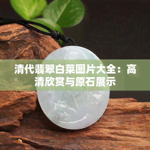 清代翡翠白菜图片大全：高清欣赏与原石展示