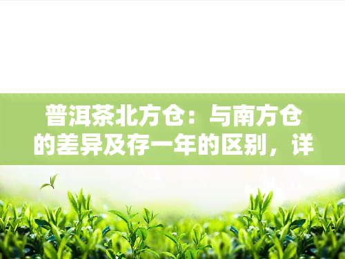 普洱茶北方仓：与南方仓的差异及存一年的区别，详解北方仓含义、优劣与昆明仓比较