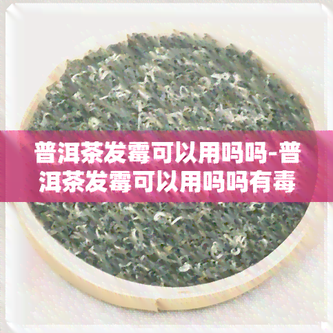 普洱茶发霉可以用吗吗-普洱茶发霉可以用吗吗有吗