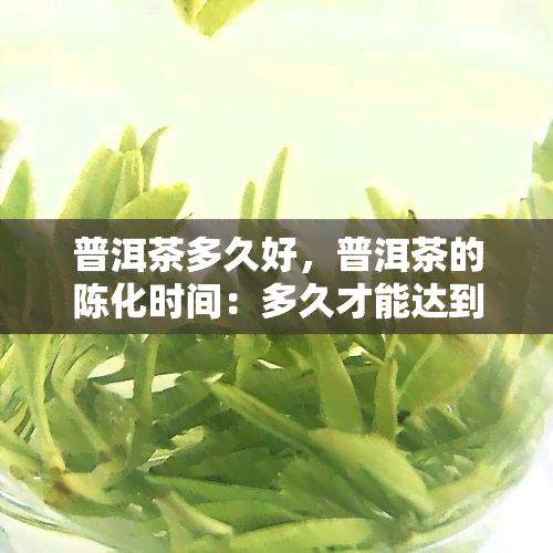 普洱茶多久好，普洱茶的陈化时间：多久才能达到口感？