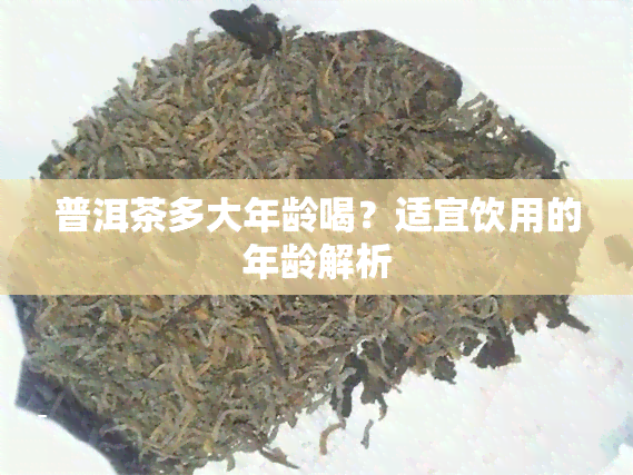 普洱茶多大年龄喝？适宜饮用的年龄解析