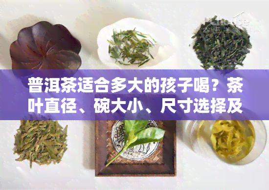 普洱茶适合多大的孩子喝？茶叶直径、碗大小、尺寸选择及壶型全解析