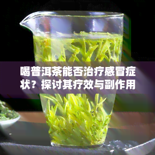 喝普洱茶能否治疗感冒症状？探讨其疗效与副作用