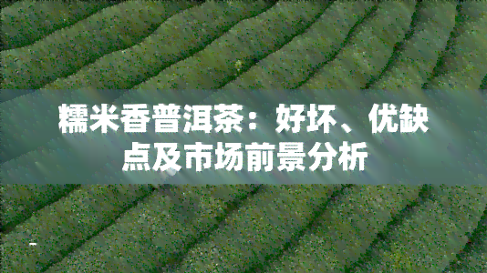 糯米香普洱茶：好坏、优缺点及市场前景分析