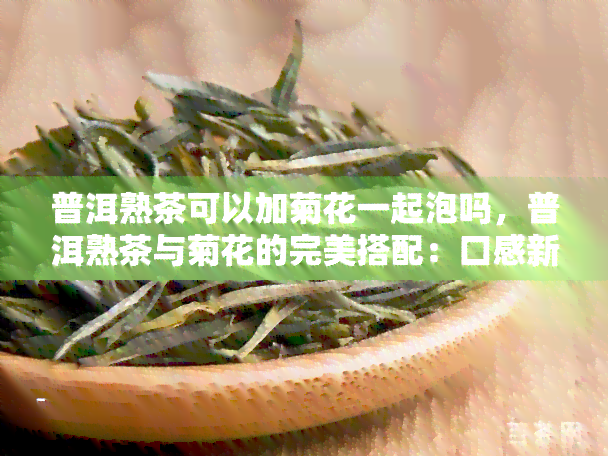 普洱熟茶可以加菊花一起泡吗，普洱熟茶与菊花的完美搭配：口感新体验！