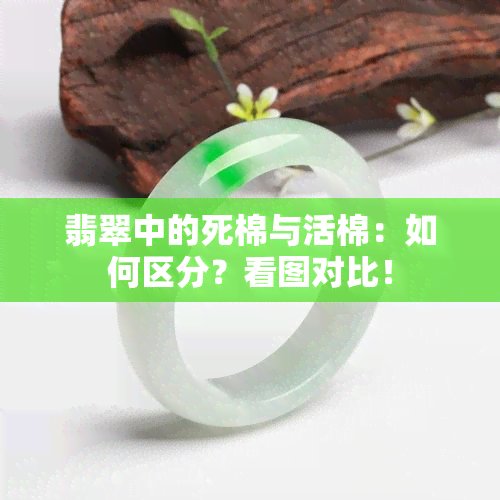 翡翠中的死棉与活棉：如何区分？看图对比！