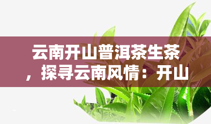 云南开山普洱茶生茶，探寻云南风情：开山普洱茶生茶的魅力