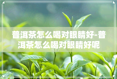 普洱茶怎么喝对眼睛好-普洱茶怎么喝对眼睛好呢