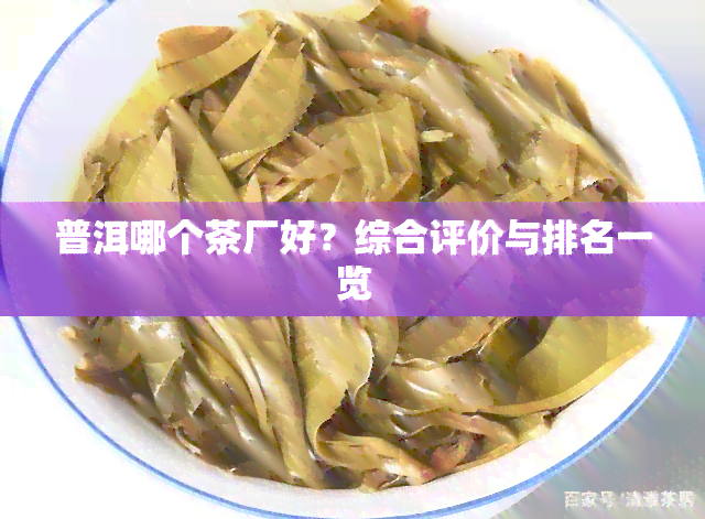 普洱哪个茶厂好？综合评价与排名一览