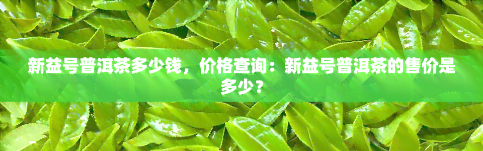 新益号普洱茶多少钱，价格查询：新益号普洱茶的售价是多少？