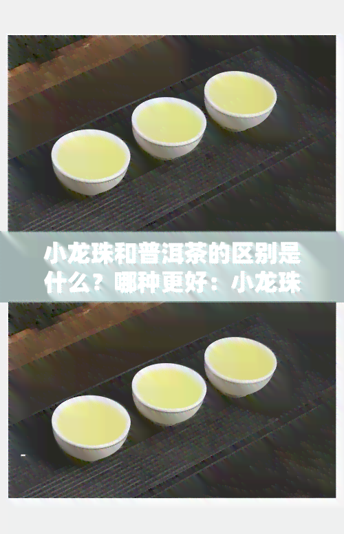 小龙珠和普洱茶的区别是什么？哪种更好：小龙珠还是小饼？