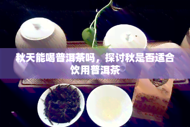 秋天能喝普洱茶吗，探讨秋是否适合饮用普洱茶