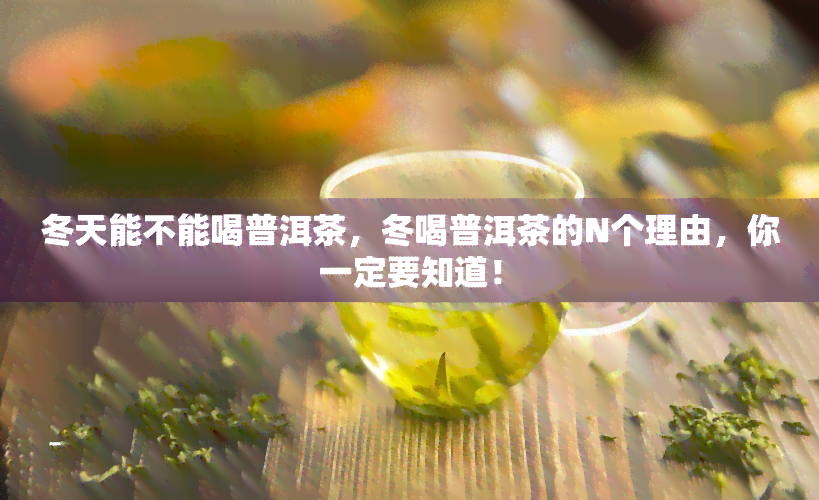 冬天能不能喝普洱茶，冬喝普洱茶的N个理由，你一定要知道！