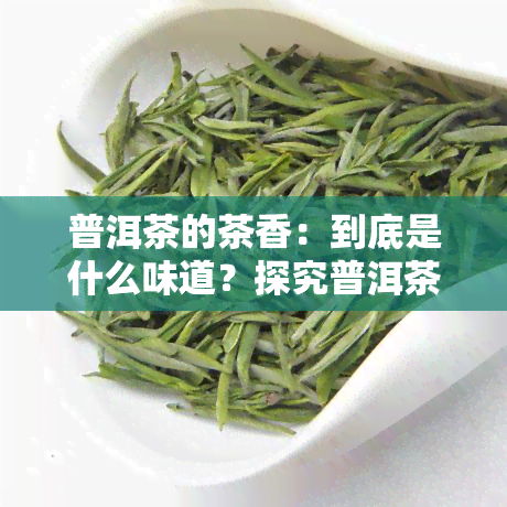 普洱茶的茶香：到底是什么味道？探究普洱茶香气的秘密