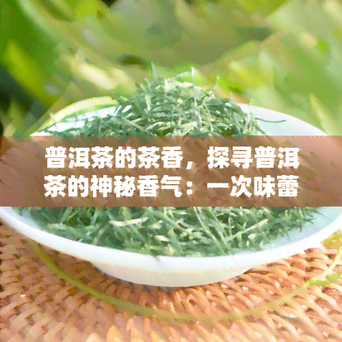 普洱茶的茶香，探寻普洱茶的神秘香气：一次味蕾与心灵的旅行