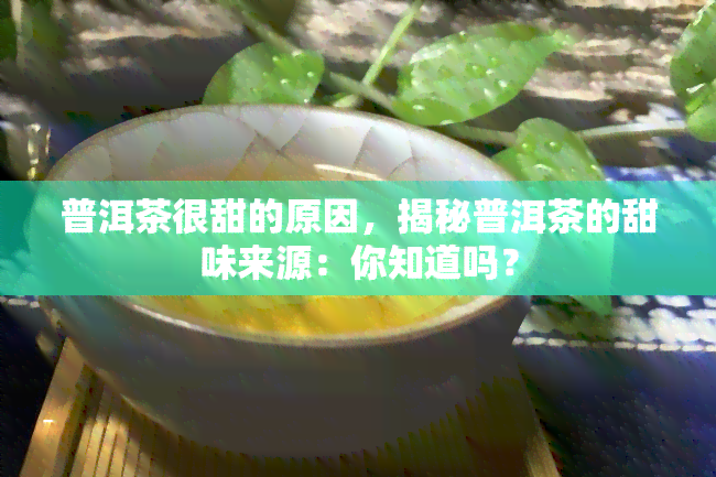 普洱茶很甜的原因，揭秘普洱茶的甜味来源：你知道吗？