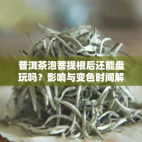 普洱茶泡菩提根后还能盘玩吗？影响与变色时间解析视频