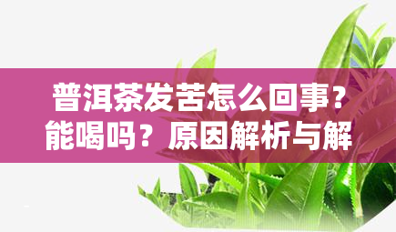 普洱茶发苦怎么回事？能喝吗？原因解析与解决方法